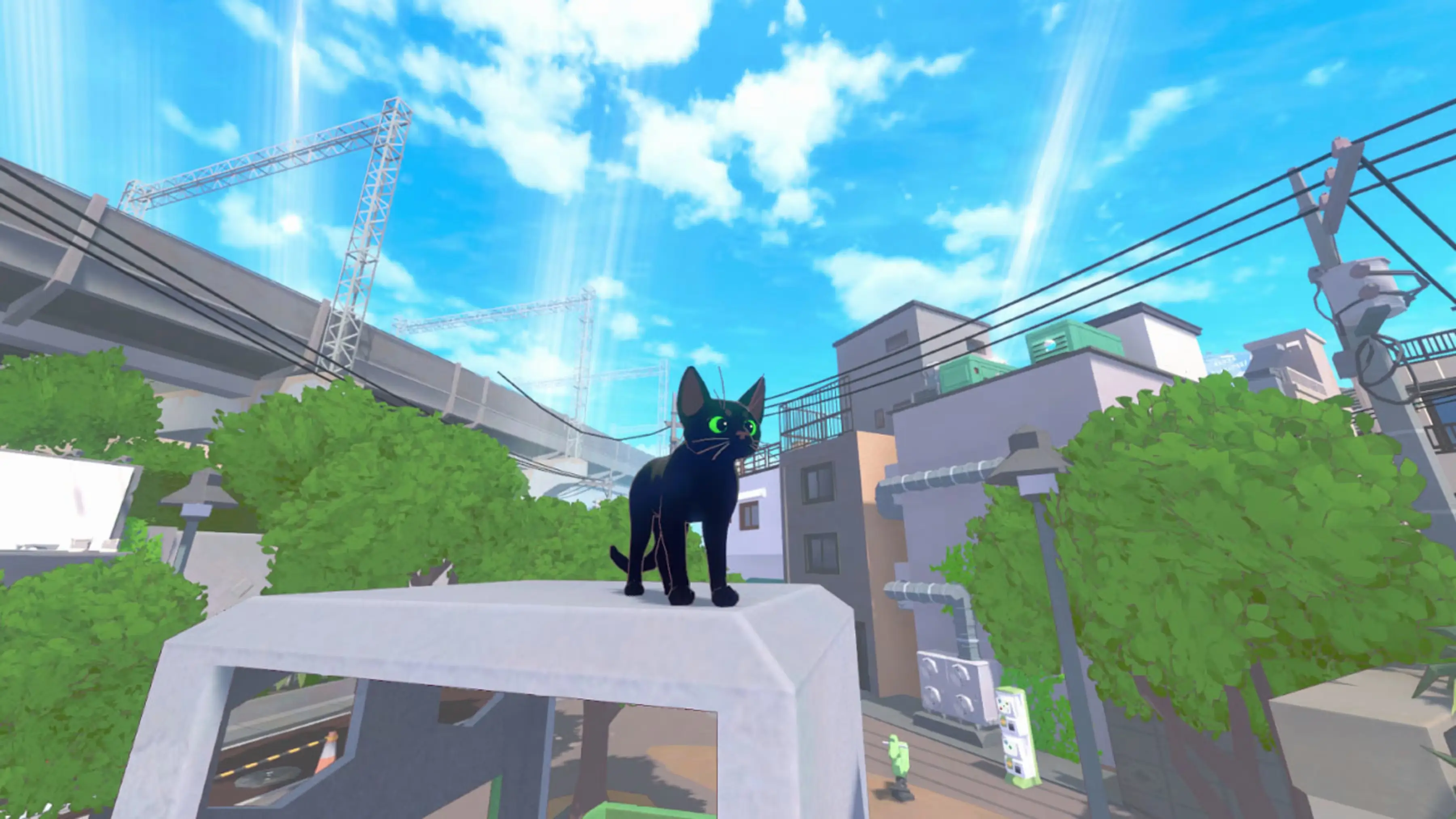 NS Little Kitty, Big City